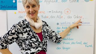 n-Deklination | B1/B2 | Deutsch lernen