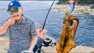 Amazing giant squid 🐙 Cutting and Cooking Skill by fisherman