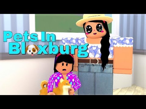 how to make pets on bloxburg roblox youtube