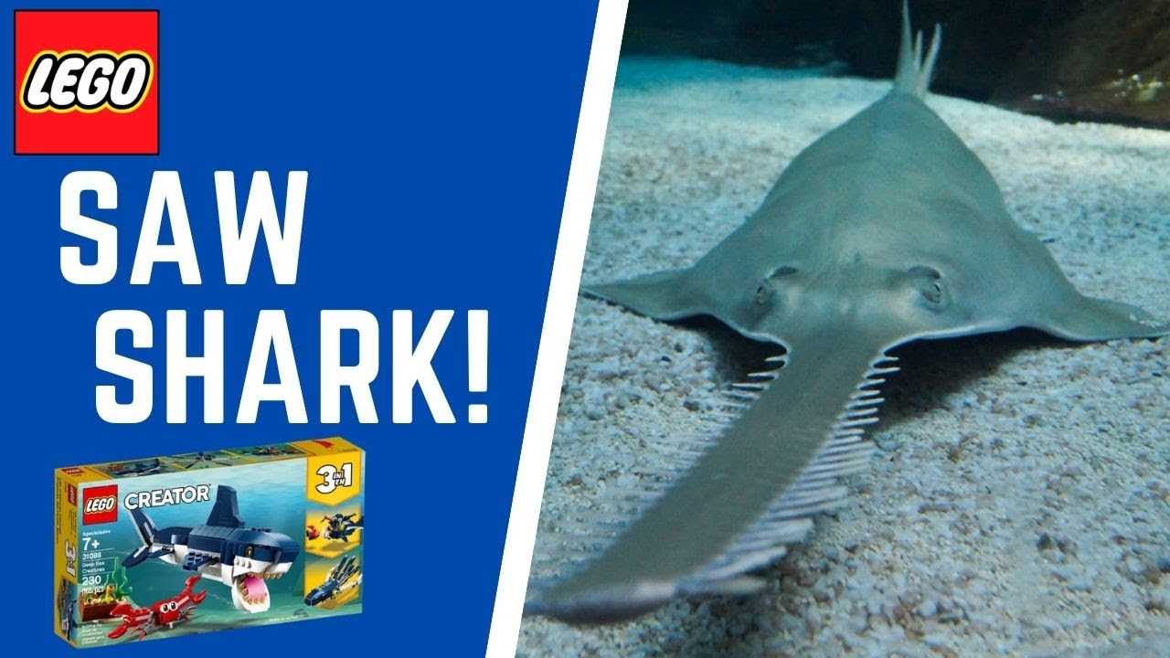 Saw Shark! Lego Creator, 3 in 1 to 4 in 1 Deep Sea Creatures Tutorial