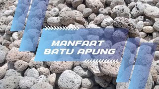 Manfaat & Kandungan Batu Apung | pumice stone