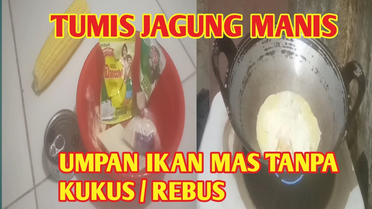 Gacor habis...!!! UMPAN IKAN MAS JAGUNG MANIS TANPA KUKUS ATAU REBUS || Langsung tes