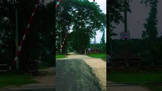 IMG 0498 IMG 0498