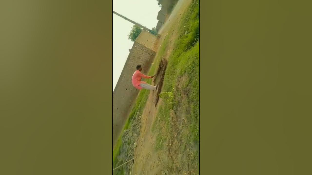 How to grow tunnel... squash tindi. Round squash YouTube