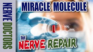 Miracle Molecule for Nerve Repair  The Nerve Doctors