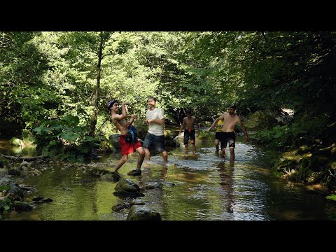 “ჩვენც გევიმართებით” | სეზონი IV - I სერია -VII  |  კეთილები | Ketilebi