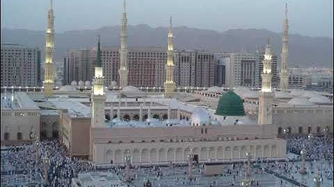 الشيخ علاء المزجاجي   سوره النحل