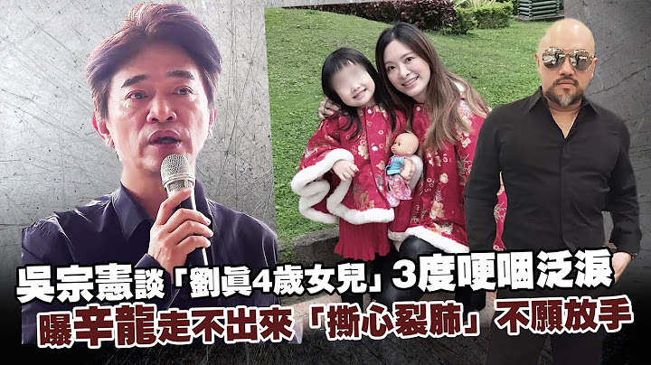 吴宗宪谈“刘真4岁女儿”3度哽咽泛泪　曝辛龙走不出来“撕心裂肺”不愿放手 - 天天要闻