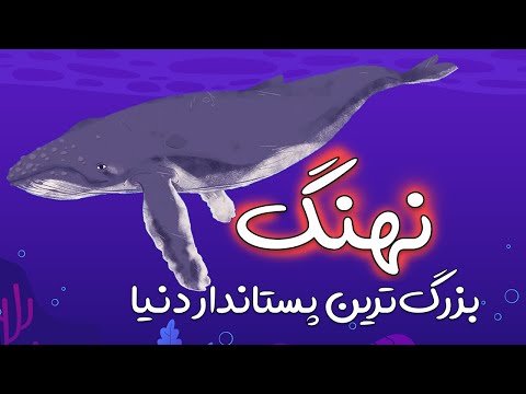 تصویری: استاد ژاپنی حیوانات را با چی کنترل می کند