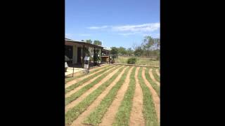Video3, A&R Wight Excavations,3 Benalla Rd, Oak Valley, QLD, 4816, Australia