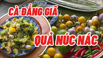 CÀ ĐẮNG GIÃ VỚI QUẢ NÚC NÁC.