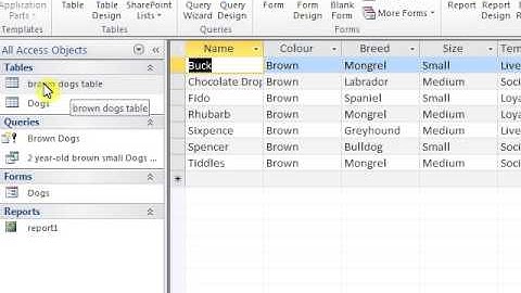 How to delete a table in Access 2010