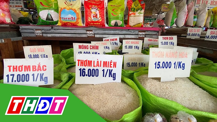 Giá trung bình gạo miền bắc 17000 năm 2024