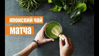 Матча – польза и вред японского чая Матча – польза и вред японского чая
