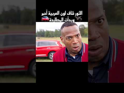 الثور شاف لون العربية أحمر وبدأت المطاردة 