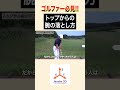 トップからの腕の落とし方#golf #ゴルフ #レッスン