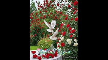 سورة المائدة  #اكسبلور #حالات_واتس