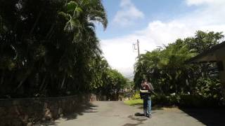 Alex Carey Landscape Services, BL 85 Backpack Blower in action