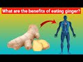 What happens if you eat ginger every day ginger benefit  health ar