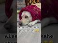 Aise banke kahe ghum rhe ho😂🤣..#funnydaibo#funnycontent#funnyshorts#funnyvideo#ytshorts…