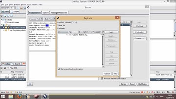 ZAP 2.4.0 introduction