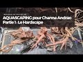 Aquascaping pour un couple de channa andrao  partie 1  hardscape