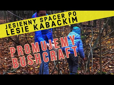 Jesienny spacer po Lesie Kabackim