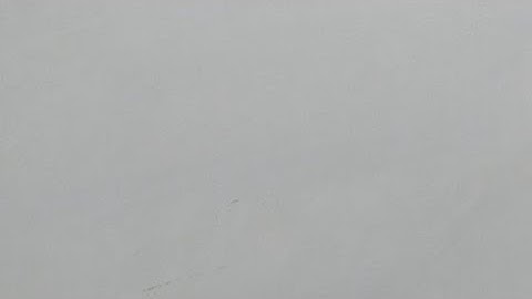 Rpsc First Grade/ Lab Assistant Home Science Test Series 13