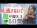 【12月15日まで】龍が願いを叶える特別な5日間✨〇〇を絶対見てね!2020年12月10日~15日