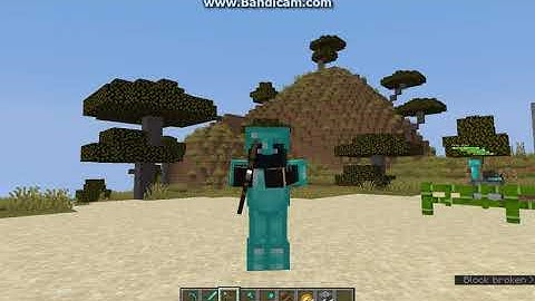 First Person Model 1.0.0 for 1.14.4 Fabric Mod Overview (1.15.2 and later features not covered)