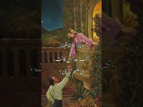 وماذا لو تلاقينا بح ب بعد أن كان ت قبائ ل هم ت فر قنا