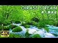【4K Japan Walk】Japan's famous scenic spot, where the beautiful flowing water and greenery soothe us