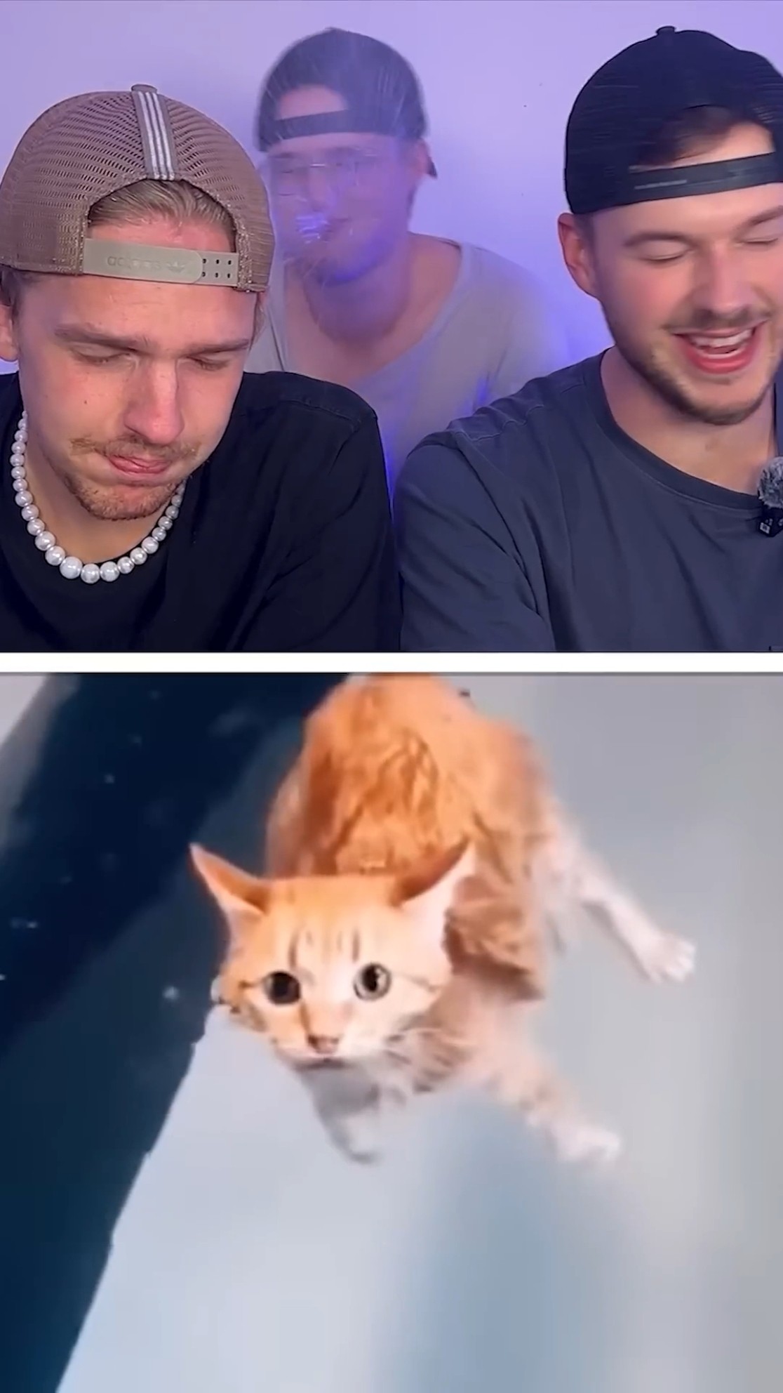 Best laughs of 2024 ??‍?