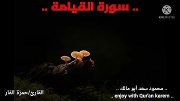 الشيخ حمزة الفار في تلاوة مؤثرة وخاشعة لسورة القيامة..#سورة القيامة#