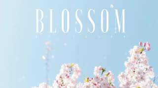 #109 Blossom (Official)