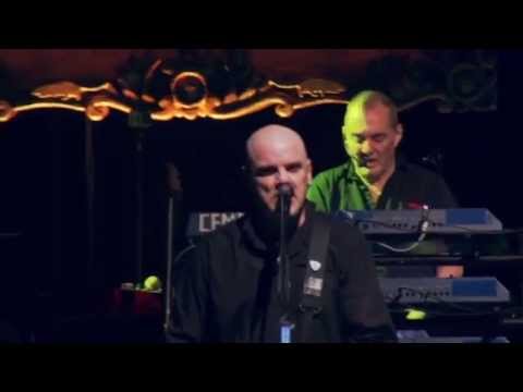 Golden Brown by The Stranglers (Live 2014 Academy, Manchester)