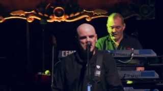 Video thumbnail of "Golden Brown by The Stranglers (Live 2014 Academy, Manchester)"