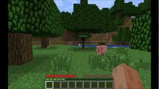 An Introduction To Minecraft For BEGINNERS!: Part 1