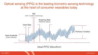 Optical Sensing (PPG) waveform screenshot 2