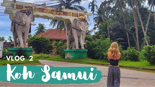Best of KOH SAMUI | Thailand island VLOG #2 | Travel Guide |  Top things to see (SEP 2022)