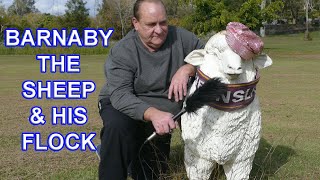 Barnaby The Sheep Interview and History