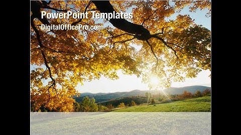 Yellow Tree In The Sunset In The Autumn PowerPoint Template Backgrounds - DigitalOfficePro #03692