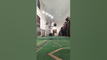 سورة الفرقان  ( ياسر عثمان )