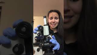 Microscopy for microbiology part 2 result