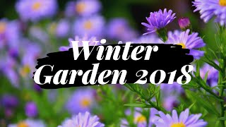 Winter Home Garden | 2018