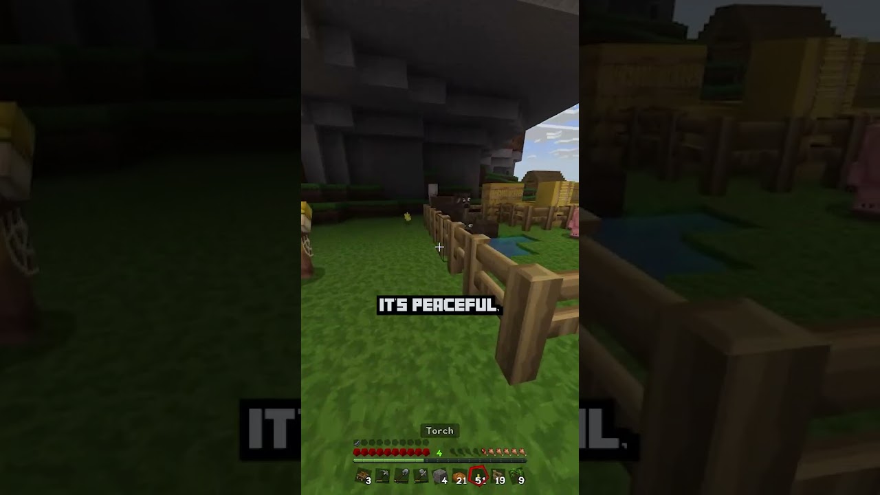 🌳Minecraft Peaceful Mode🌅