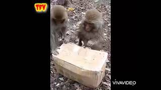 Wife Parcel Gift For Our's Boss.Funny Video In Tamil.Do Subscribe😊❤ Wife Parcel Gift For Our's Boss.Funny Video In Tamil.Do Subscribe😊❤