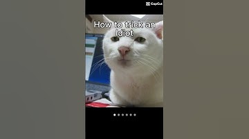How to trick an idiot #funny