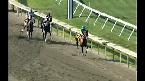 2015 Haskell Invitational Stakes