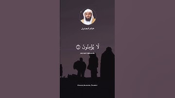 سورة الرعد بتلاوة الشيخ خالد الجليل #قرآن_كريم ٪#سورة_الرعد #الشيخ_خالد_الجليل #fyp